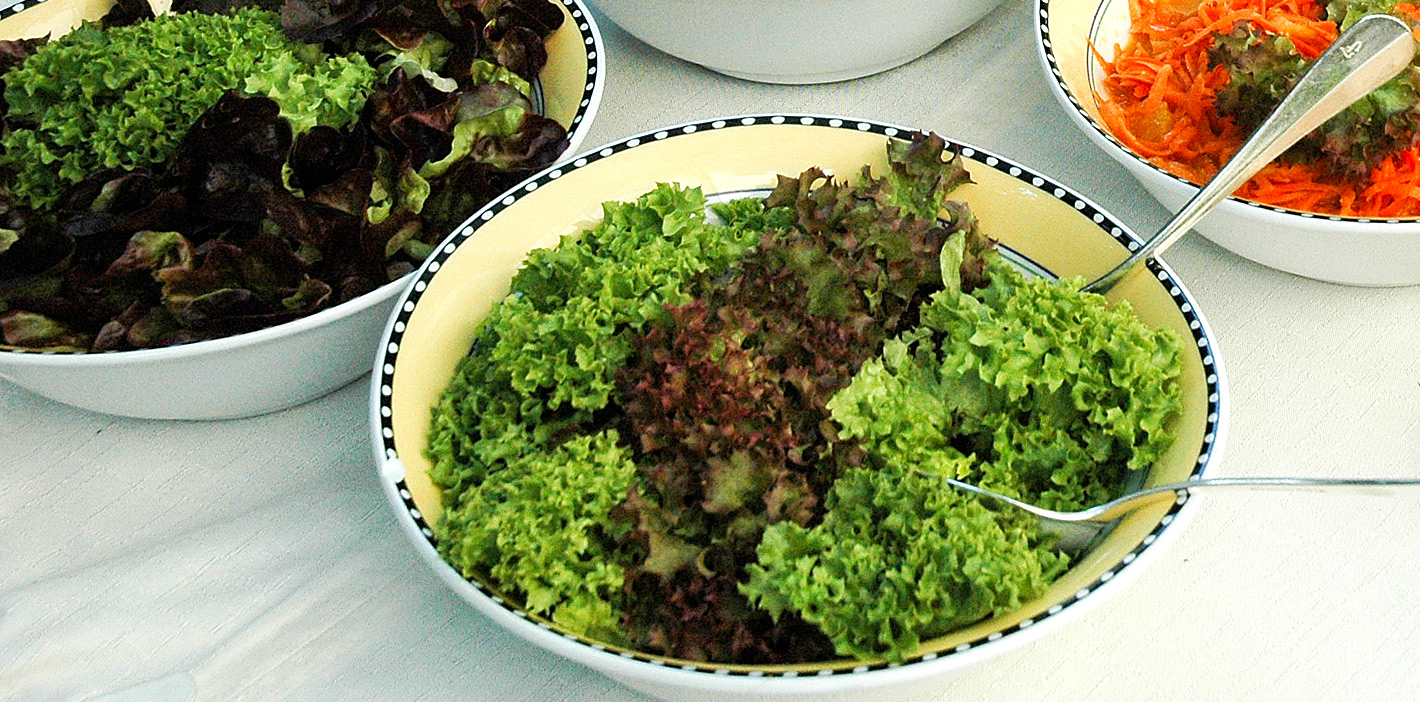 Salat waschen und zubereiten